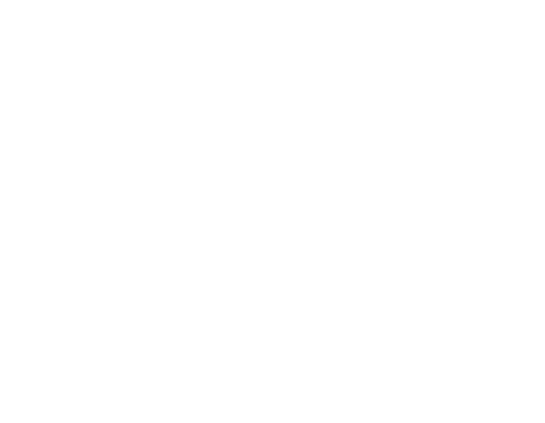 Vision X USA